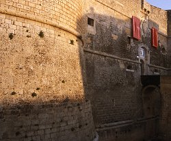 Scarpa