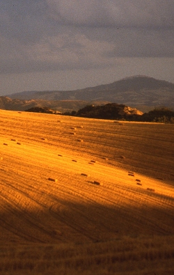 Basilicata