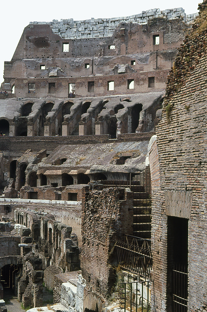 Flavisch Amfitheater (Colosseum, Rome), Flavian Amphitheatre (Colosseum)