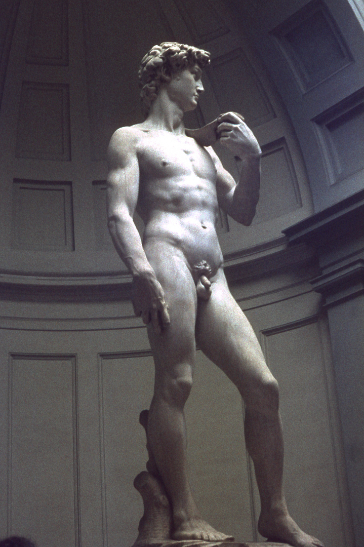 David van Michelangelo (Florence, Itali), David by Michelangelo (Florence, Italy)