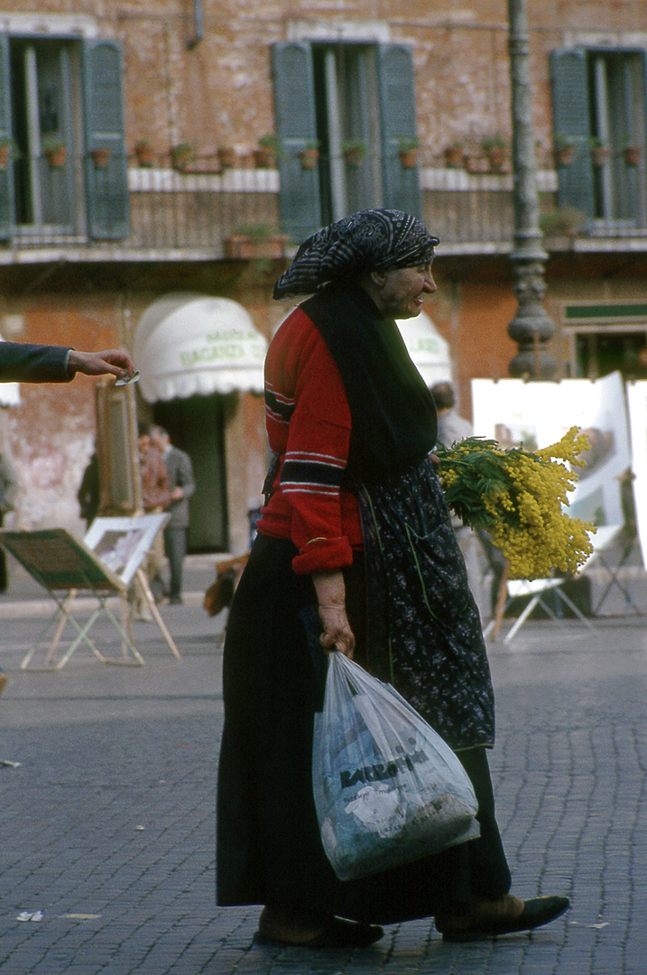 Oude vrouw die mimosa verkoop (Rome, Itali), Old lady selling mimosa (Rome, Italy)