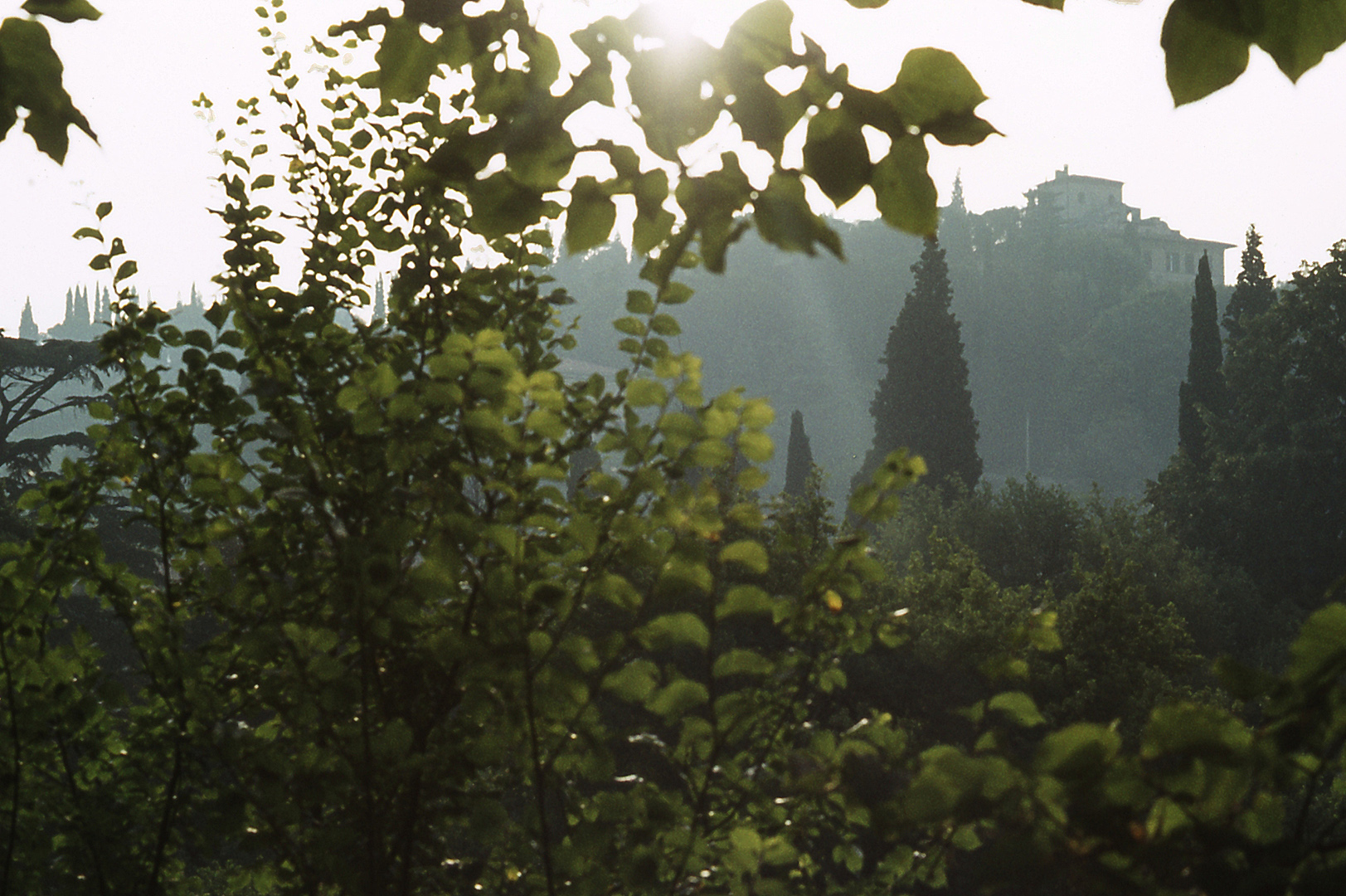 Toscaans landschap; Tuscan landscape
