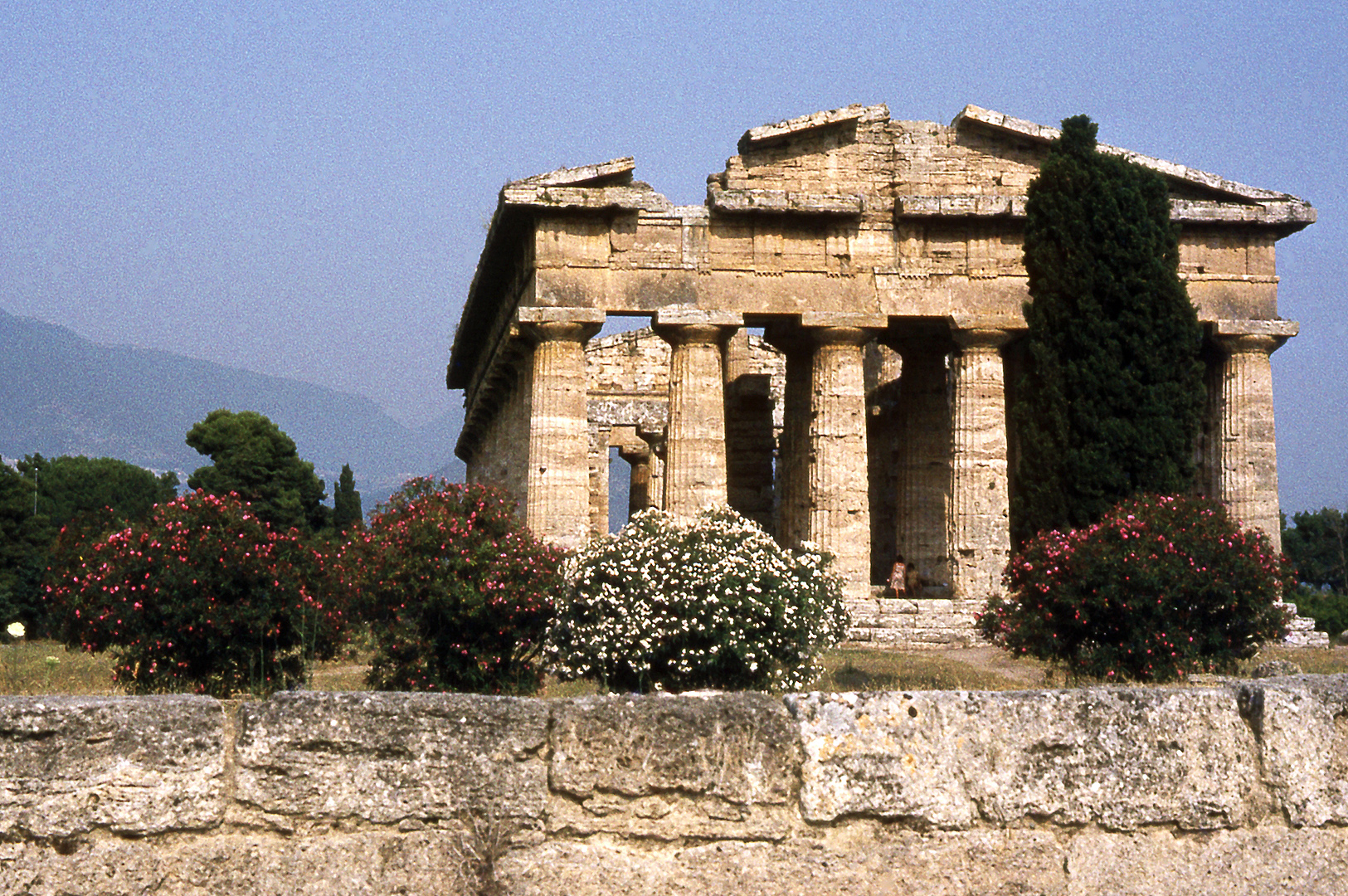 Tempel van Poseidon, Paestum (Campani. Itali), Temple of Poseidon, Paestum (Campania, Italy)