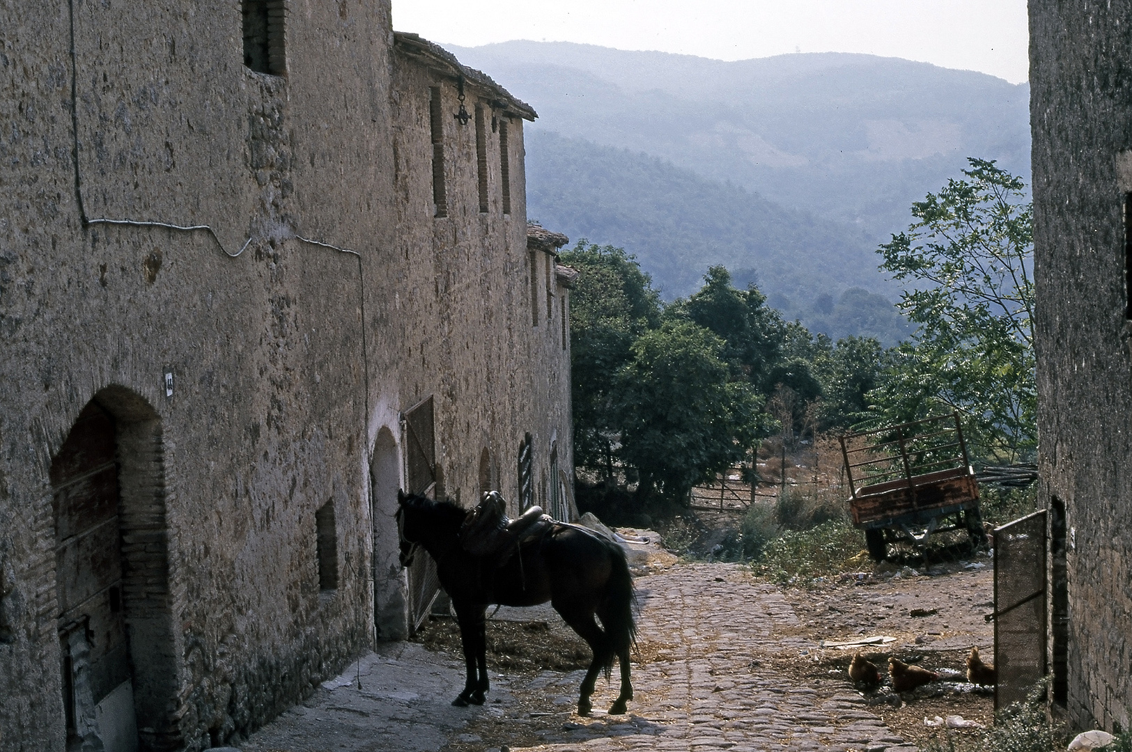 Tolfa (Lazio, Itali), Tolfa (Lazio, Italy)