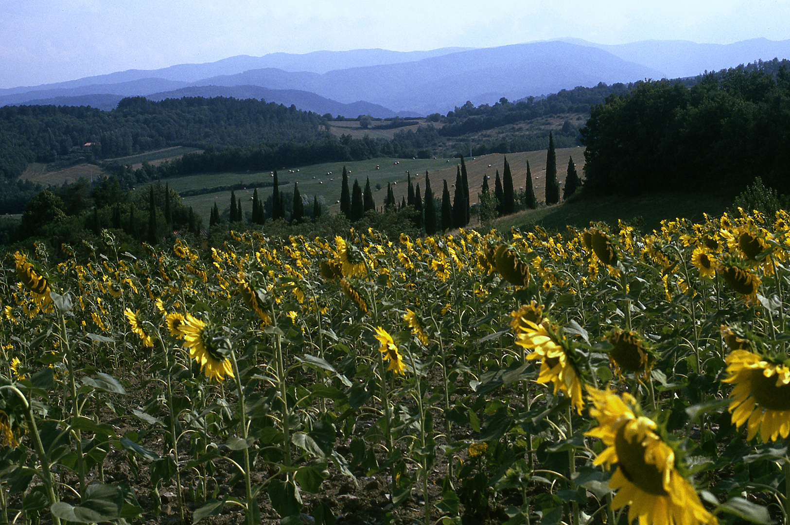 Landschap in de Casentino (Toscane, Itali), Landscape in the Casentino (Tuscany, Italy)