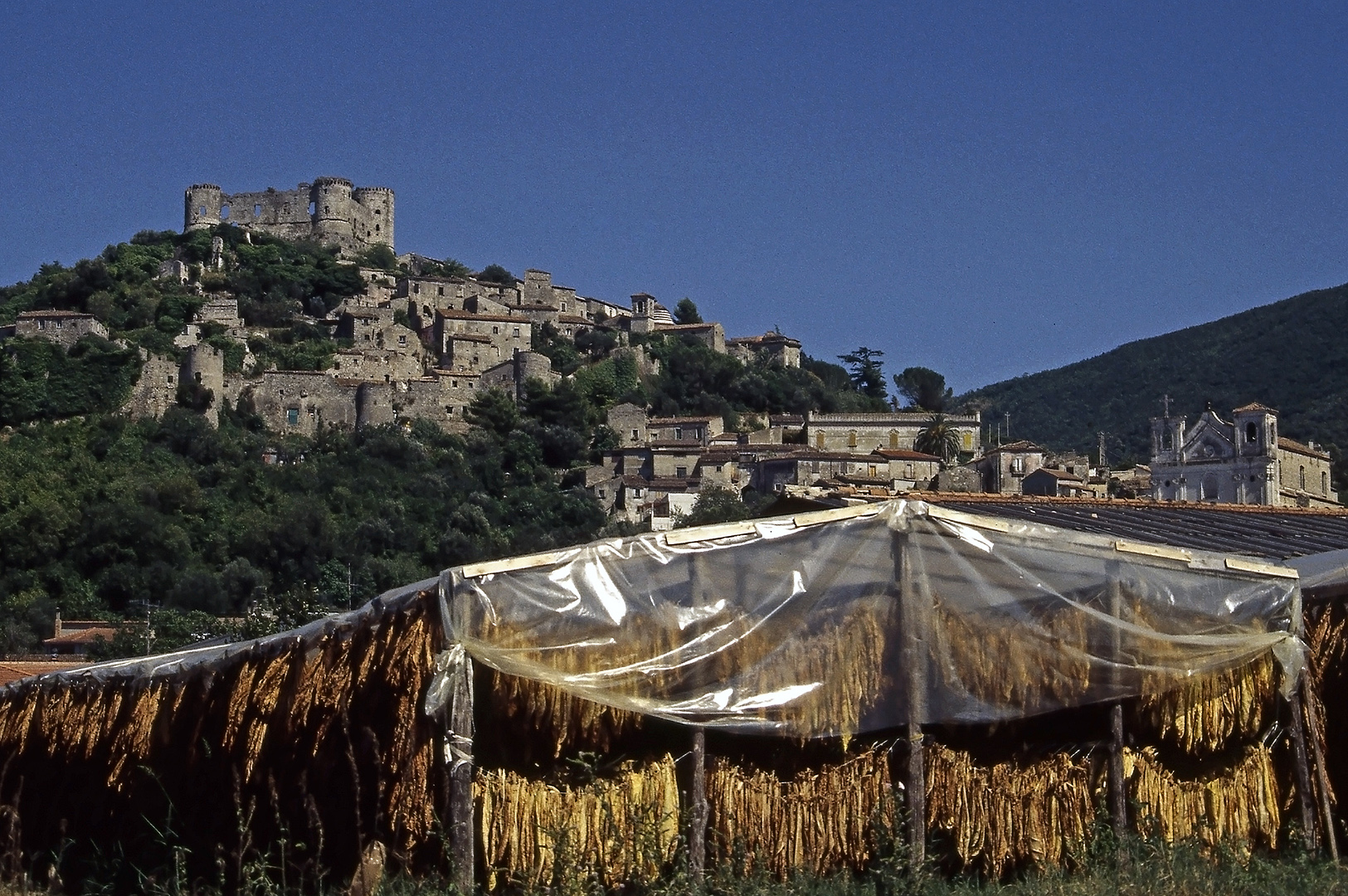 Drogende tabak Vairano Patenora (Campani, Itali); Vairano Patenora (Campania, Italy)