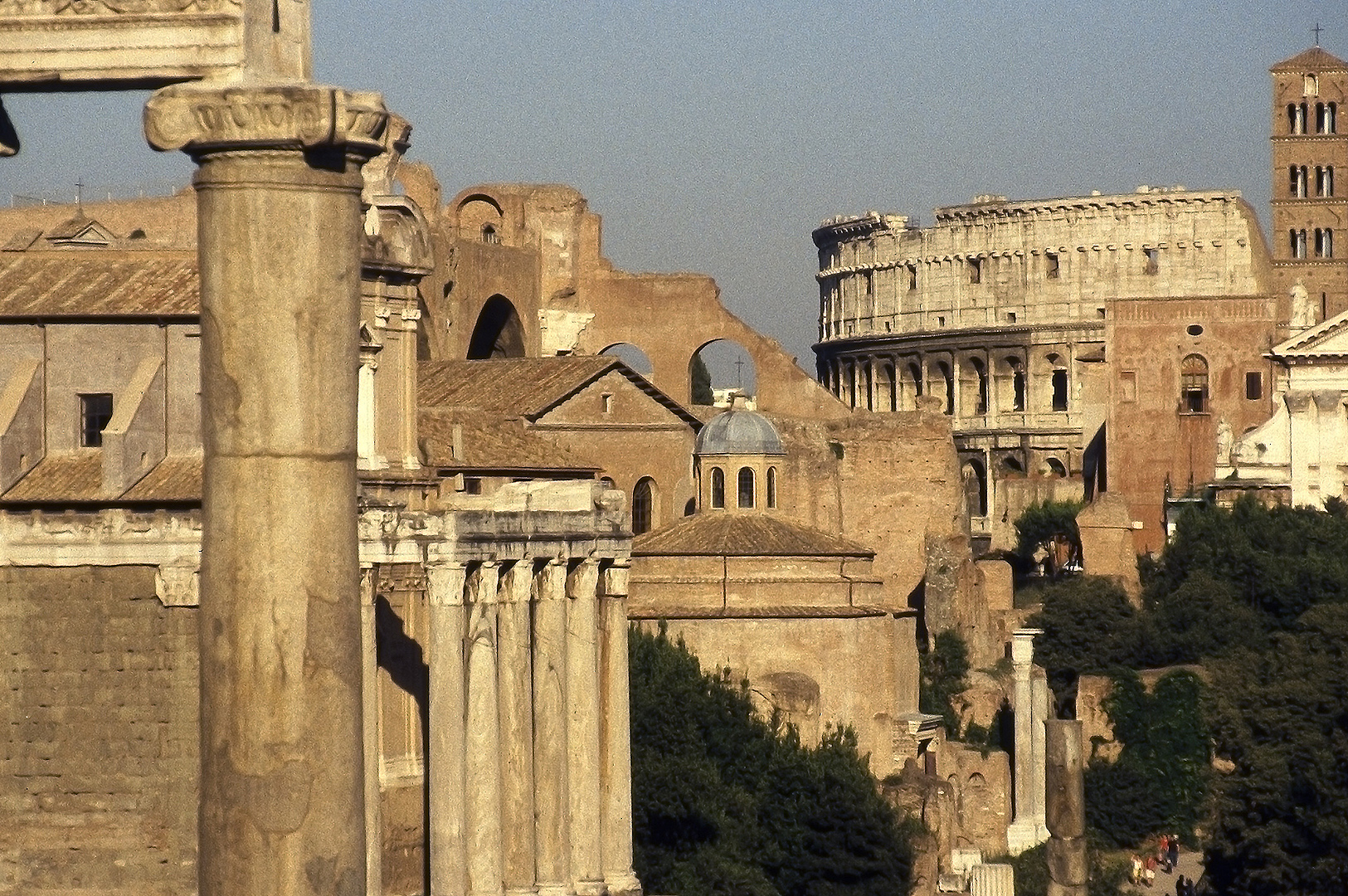 Forum Romanum (Rome, Itali), Roman Forum (Italy, Latium, Rome)