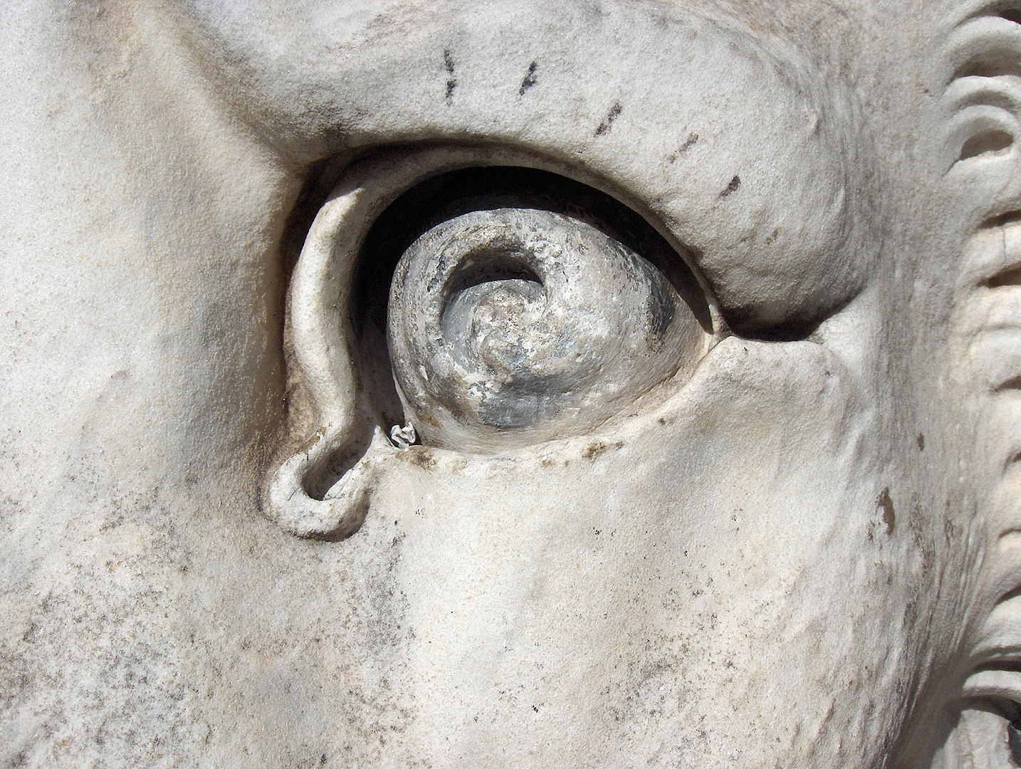 Oog van een gebeeldhouwde leeuw; The eye of a sculptured lion