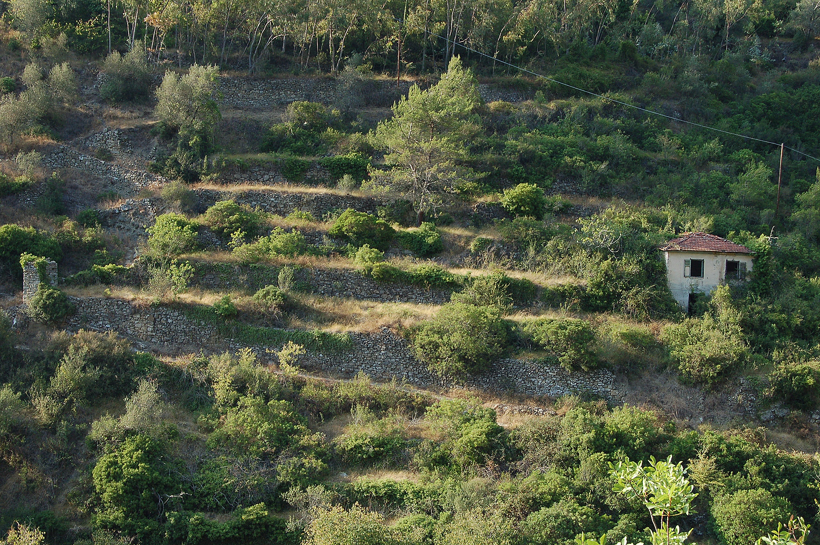 Dolceacqua (IM, Liguri, Itali), Dolceacqua (IM, Liguria, Italy)