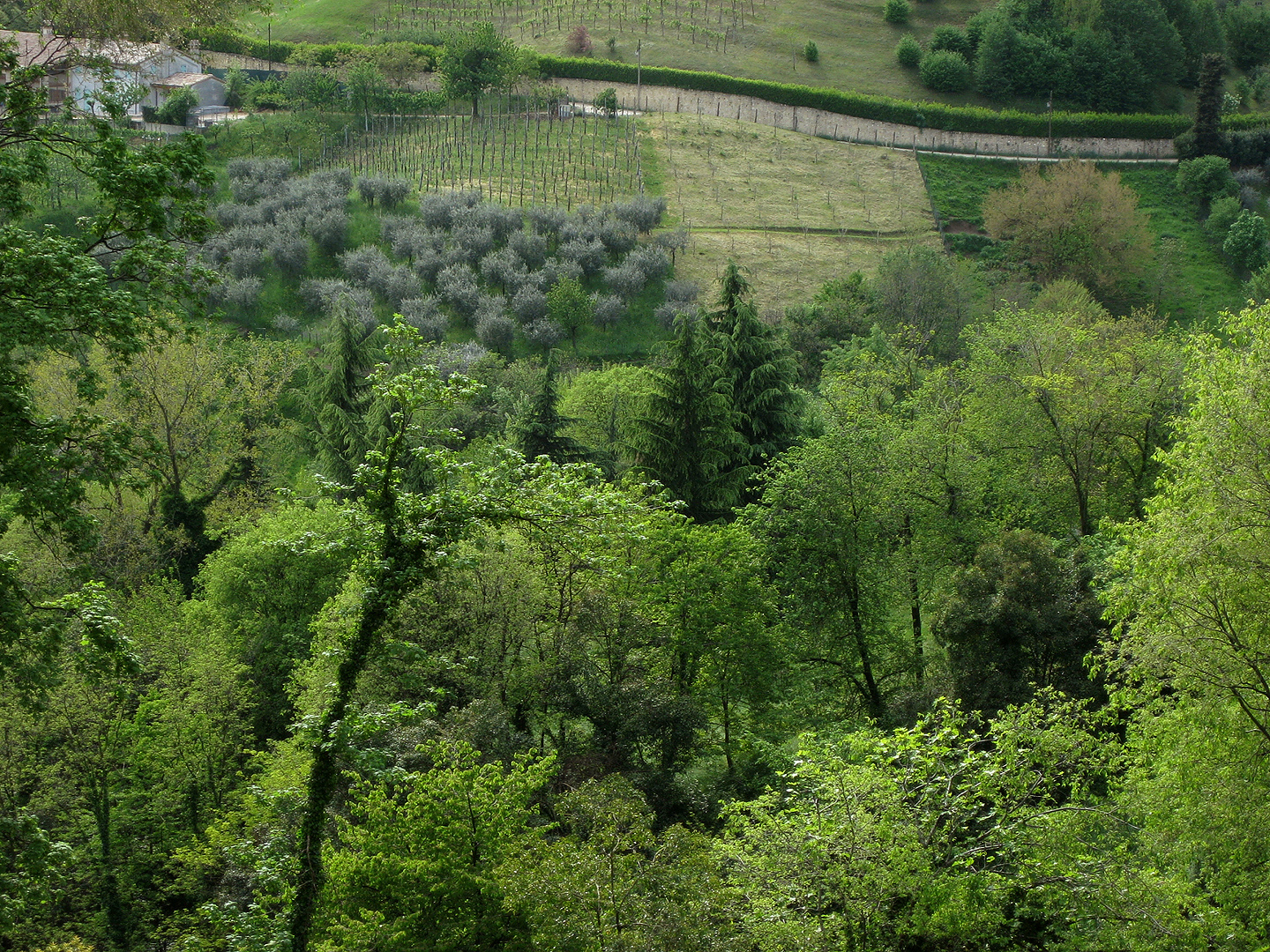 Asolo (TV, Veneto, Itali), Asolo (TV, Veneto, Italy)