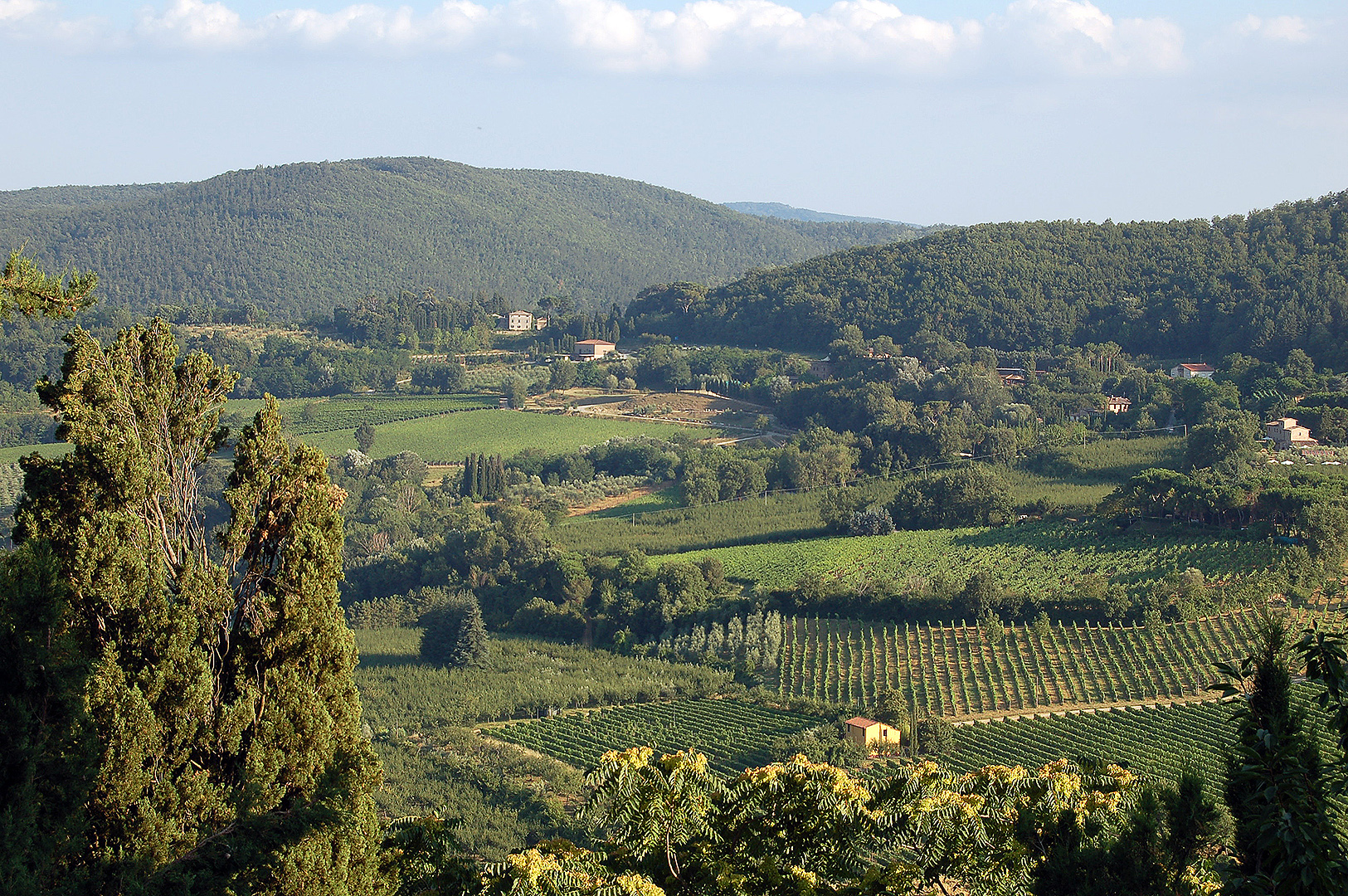 Landschap bij Montepulciano (SI, Toscane, Itali), Landscape near Montepulciano (SI, Tuscany, Italy)