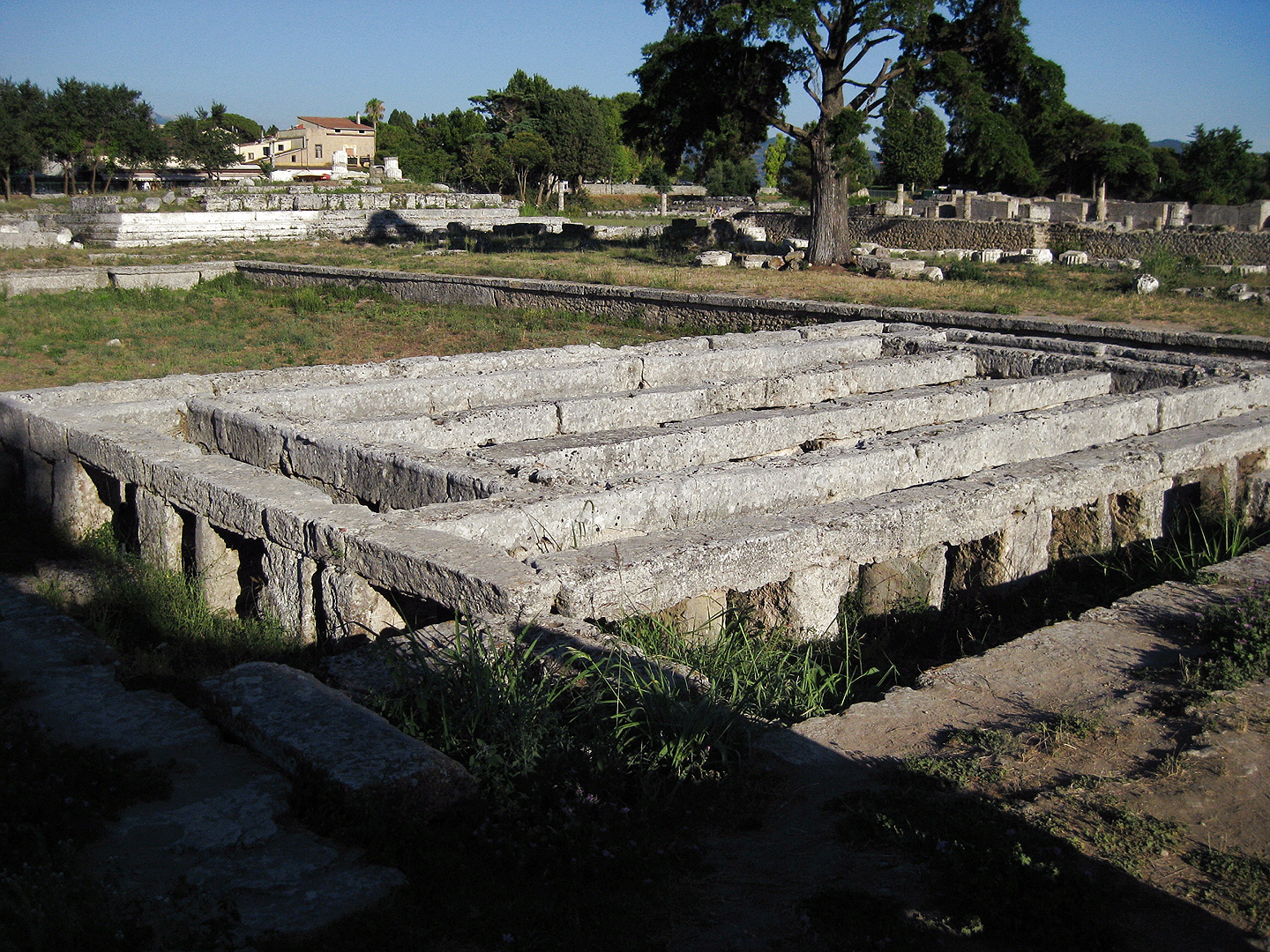 Zwembad, Paestum (Campani. Itali), Gymnasium swimming pool, Paestum