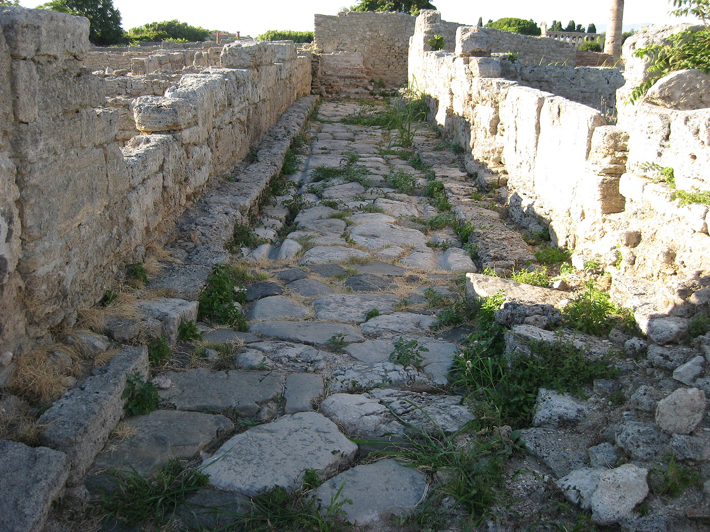 Romeinse straat, Paestum (Campani. Itali); Roman street, Paestum (Campania, Italy)