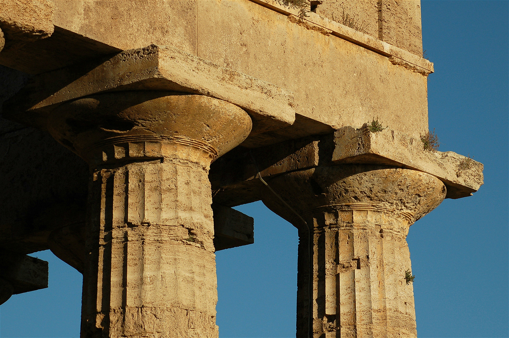 Tempel van Poseidon, Paestum (Campani. Itali), Temple of Poseidon, Paestum (Campania, Italy)