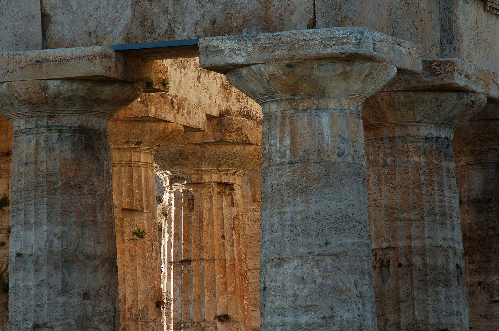 Tempel van Poseidon, Paestum (Campanië. Italië), Temple of Poseidon, Paestum (Campania, Italy)