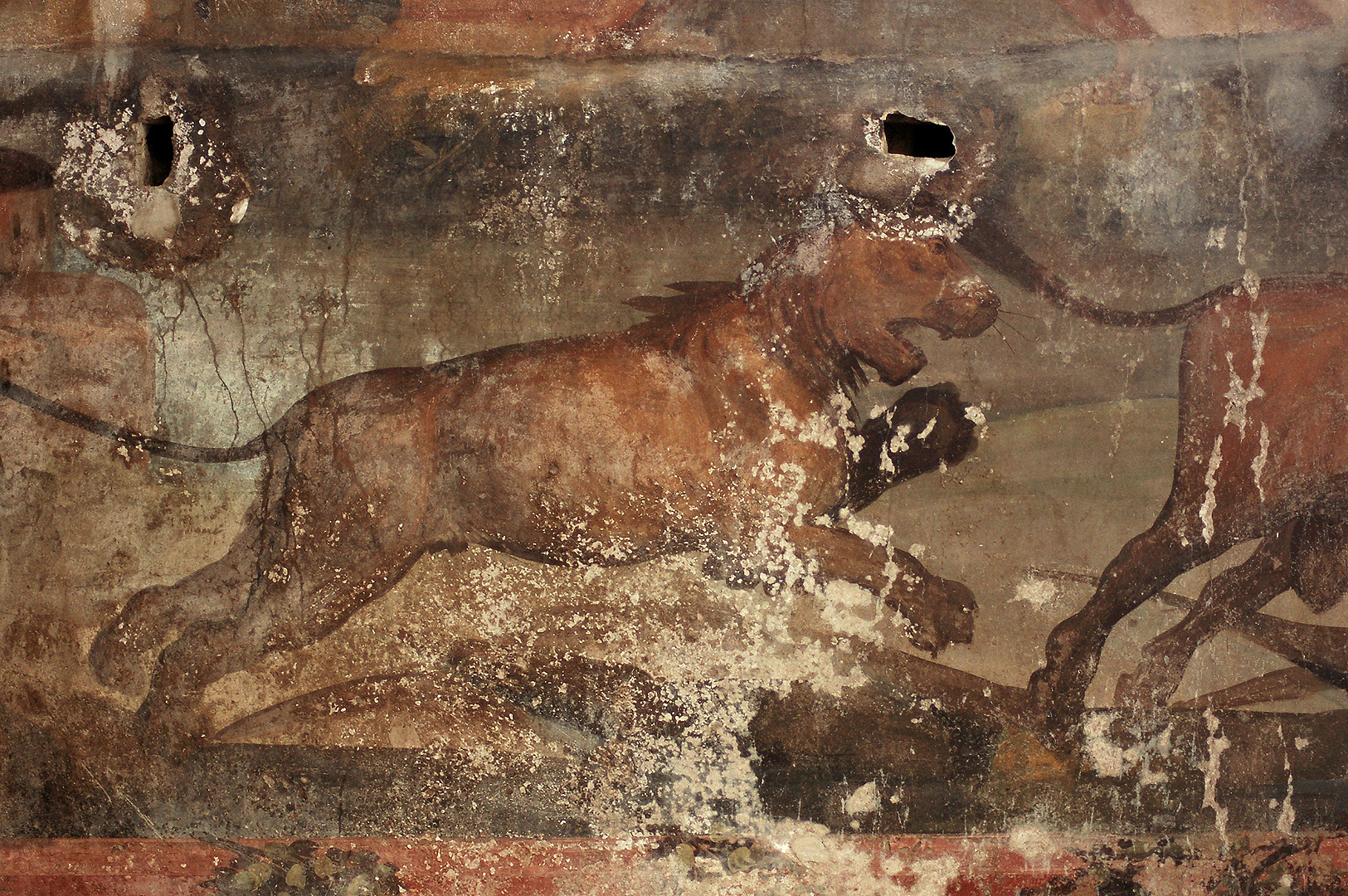 Huis van de Jacht, Pompeii, Campani, Itali, Casa dei Ceii, Pompeii, Campania, Italy