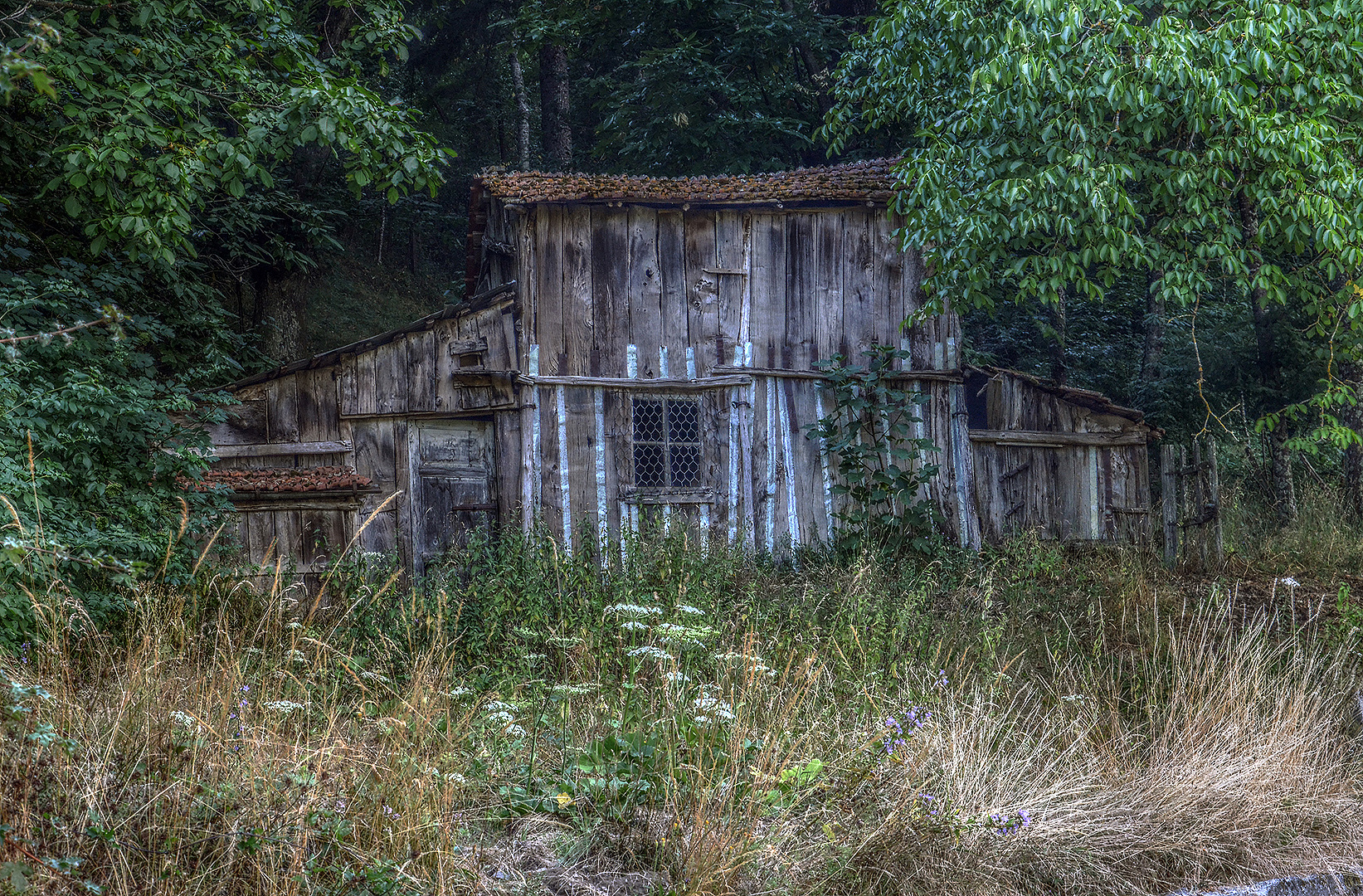 Oude schuur, Toscane, Italië, Old shed, Garfagnana, Tuscany, Italy