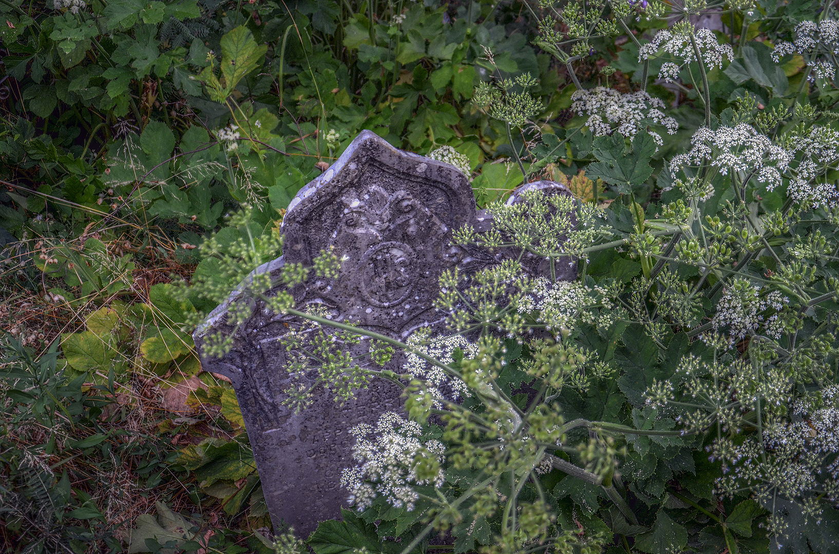 Begraafplaats, Gorfigliano, Toscane, Itali; Cemetery, Gorfigliano, Tuscany, Italy