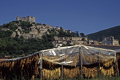 Drogende tabak Vairano Patenora (Campani, Itali), Vairano Patenora (Campania, Italy)