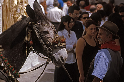 Processie in Pisticci (MT, Basilicata, Itali), Procession in Pisticci (MT, Basilicata, Italy)