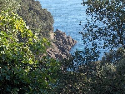 Baai bij San Fruttuoso, Bay near San Fruttuoso Abbey