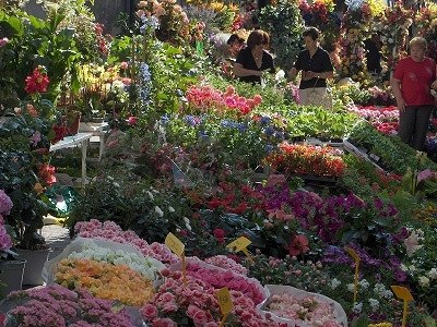 Markt (Bassano del Grappa, Itali), Market (Bassano del Grappa, Italy)