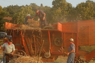 Dorsfeest (Vicchio, Toscane, Itali); Threshing feast (Vicchio, Tuscany, Italy)