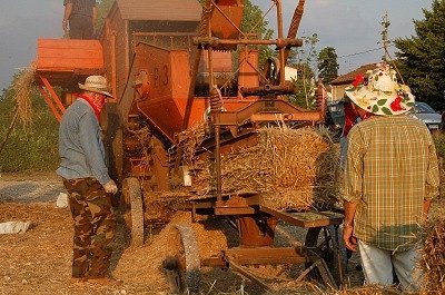 Dorsfeest (Vicchio, Toscane, Itali); Threshing feast (Vicchio, Tuscany, Italy)