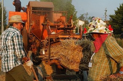 Dorsfeest (Vicchio, Toscane, Itali), Threshing feast (Vicchio, Tuscany, Italy)