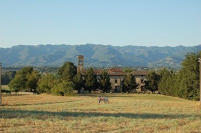 Santa Maria a Olmi (Toscane, Itali), Santa Maria a Olmi (Tuscany, Italy)