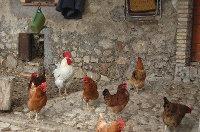 Aielli (Abruzzen, Itali); Aielli (Abruzzo, Italy)