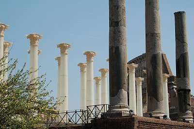 Tempel van Venus en Roma (Rome, Itali); Temple of Venus and Roma (Rome, Italy)