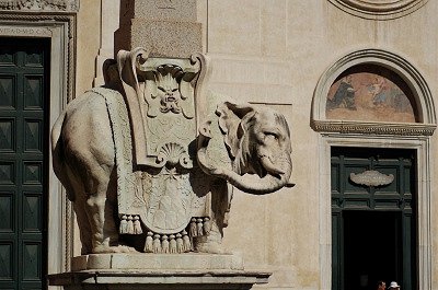 Pulcin della Minerva (Rome, Itali), Pulcin della Minerva (Italy, Latium, Rome)