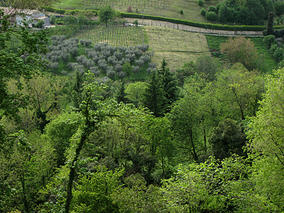 Asolo (TV, Veneto, Itali), Asolo (TV, Veneto, Italy)