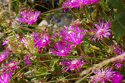 Succinto (Traversella), Pimonte, Itali, Succinto (Traversella), Piemonte, Italy