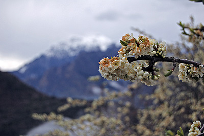 Casso (PN, Friuli Venezia Giulia, Itali); Casso (PN, Friuli Venezia Giulia, Italy)