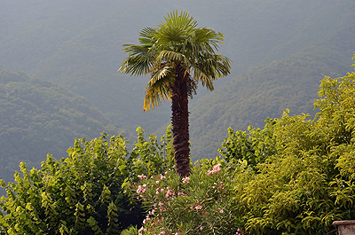 Torno, Comomeer (Lombardije, Itali); Torno, Lake Como (Lombardy, Italy)