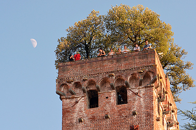 Torre Guinigi, Lucca, Toscane, Itali, Torre Guinigi, Lucca, Tuscany, Italy