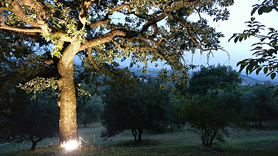 Landhuis in Toscane, Itali, Country house in Tuscany, Italy