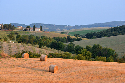 Landschap bij Radicofani (Si. Toscane, Itali), Landscape near Radicofani (Si. Tuscany, Italy)