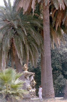 Park van Capodimonte, Napels (Campani), Capodimonte Park, Naples (Campania, Italy)