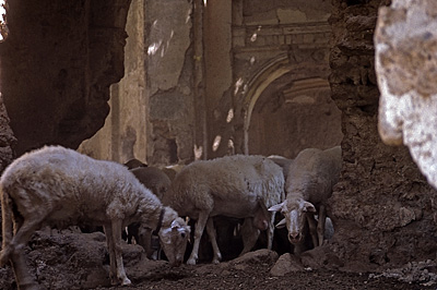 Canale Monterano