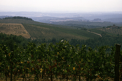 Toscaanse heuvels (Itali), Tuscan hills (Italy)