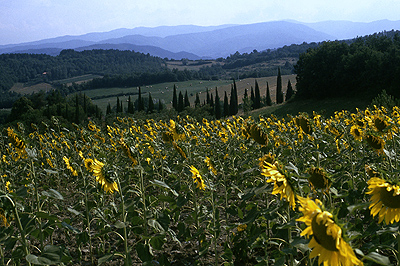 Landschap in de Casentino (Toscane, Itali); Landscape in the Casentino (Tuscany, Italy)
