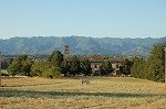 Santa Maria a Olmi (Toscane, Itali); Santa Maria a Olmi (Tuscany, Italy)