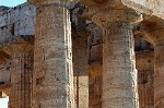 Tempel van Poseidon, Paestum (Campani. Itali); Temple of Poseidon, Paestum (Campania, Italy)