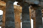 Tempel van Poseidon, Paestum (Campani. Itali); Temple of Poseidon, Paestum (Campania, Italy)