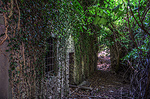 Vispereglia, Garfagnana, Toscane, Itali; Ruins of Vispereglia, Garfagnana, Tuscany, Italy