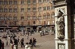 Piazza del Campo (Siena, Itali); Piazza del Campo (Siena, Italy)
