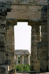 Tempel van Poseidon, Paestum (Campani. Itali); Temple of Poseidon, Paestum (Campania, Italy)